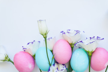 Easter eggs and spring flowers narcissi on white background