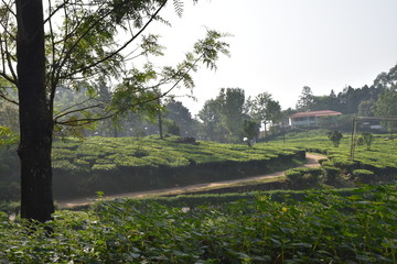 nature at its best