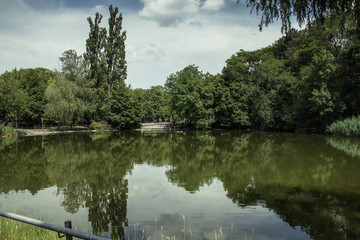 Fototapeta premium pond in a park with reflection