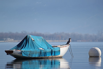 Old wooden sailboat moored for the winter with a great cormorant relaxing on its deck