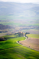 Tuscany, Val d'Orcia rolling hills with cypress trees