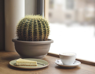 Coffee and cheesecake, cactus on the table at cafe. Cute still life. Very big cactus. Cosy home,...