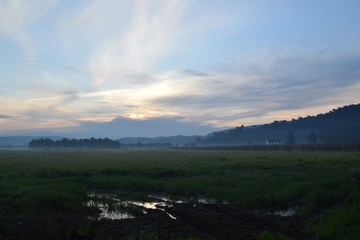 Rising.Sunrise in the garden.Sunrise pomegranate garden