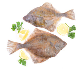 Halibut on white background