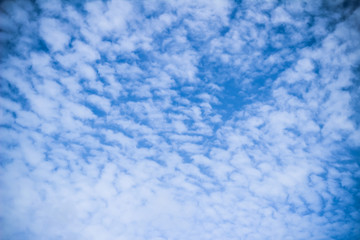 Obraz premium Beautiful blue gradient sky with many clouds