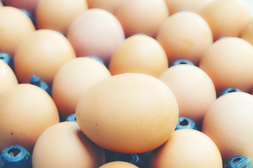 easter chick egg, vintage filter image