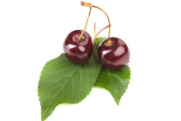 ripe juicy black cherries on a white table