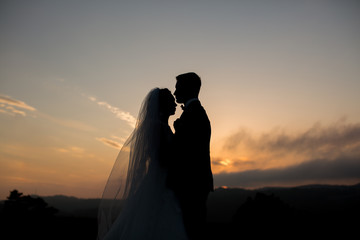 The couple the bride and groom look at each other at sunset in the mountains. Silhouettes.