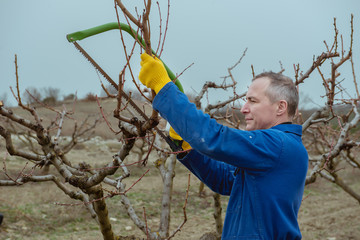 spring work in the garden, pruning trees