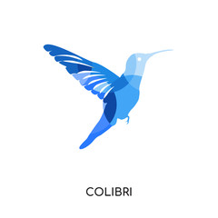 colibri logo isolated on white background for your web, mobile and app design