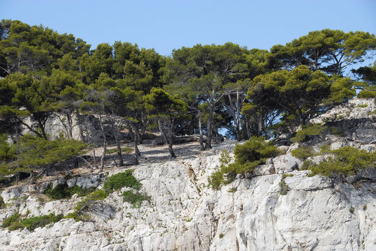 Calanques de Port-Miou vers Cassis, La Ciotat, Marseille, Provence