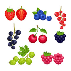  Set of fresh berries  isolated on white background. Strawberry, blueberry, currant, cherry, raspberry, BlackBerry, gooseberry. Vector colorful icons.