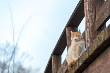 Beppu-numa 2018 No.5