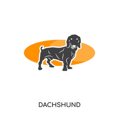 dachshund logo isolated on white background for your web, mobile and app design