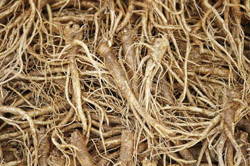 Korean traditional market