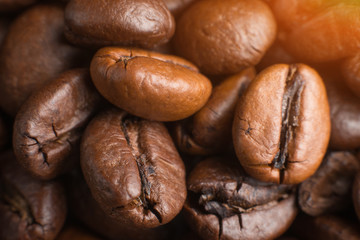 Coffee beans. Super Macro