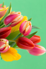 Fototapeta premium A colorful spring greetings card with tulips for Easter, Mother's Day.