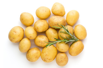 New potato and rosemarin isolated on white background close up.