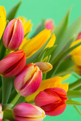 A colorful spring greetings card with tulips for Easter, Mother's Day.