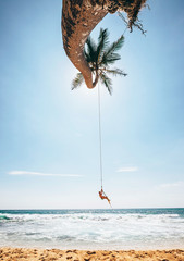 Happy little boy dangles on tropical palm tree swing