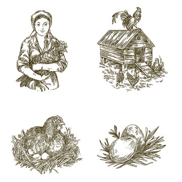 Poultry farm. Vintage set of elements. Woman with chicken, hen in nest, chicken house and eggs. Engraving style. Vector illustration.