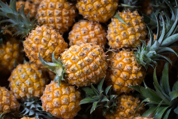Selling fresh pineapple in the Indian market in Mauritius
