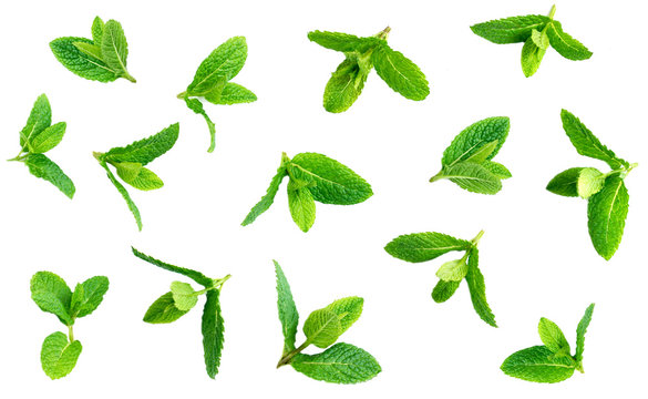 Fresh mint leaves pattern isolated on white background, top view
