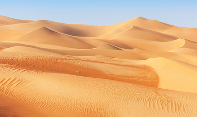 Dune Landscape in the Empty Quarter