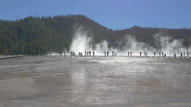 People walking in Yellowstone National Park