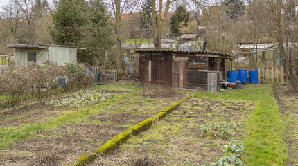 allotment gardens