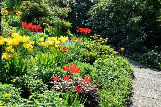 Gartenanlage mit Tulpen