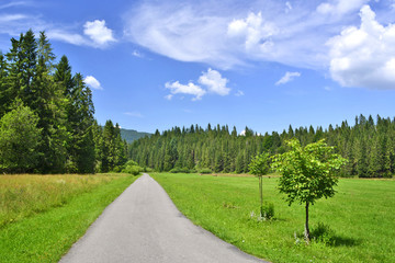 Fototapeta na wymiar Country road in a grassy meadow on a blue sky with white clouds background