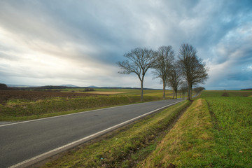Herbstlandschaft mit Landstraße