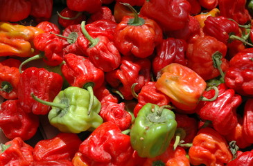 piments rouges