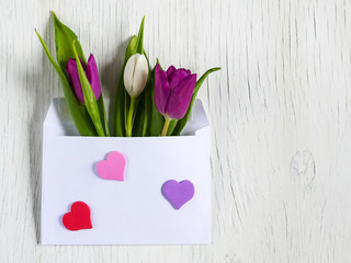 Fototapeta premium Beautiful tulips in mail envelope. Copy space. White wooden background. Mother's Day, Happy Women's Day