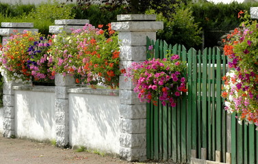 Fototapeta na wymiar Massifs de fleurs, mur et portail fleuris, Normandie, France