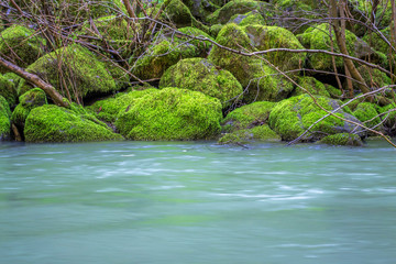 Mountain river, stones overgrown with green moss