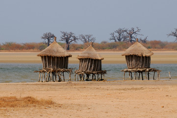 Granaries on stilts out in the sea to protect from fire, Joal , Senegal 
 - obrazy, fototapety, plakaty