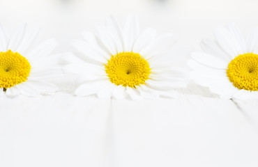 Obraz premium Flowers on white wood table background