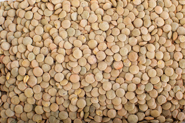 Natural organic lentils for healthy food