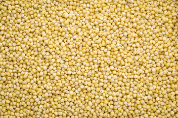 millet grain background