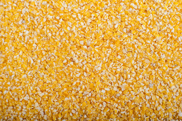  loseup on grain of corn. Popcorn Kernels