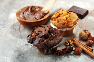 Chocolate muffin and nut muffin, homemade bakery on grey background