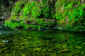 Obraz premium 日本のせせらぎ