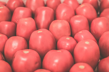 Ripe pink tomatoes