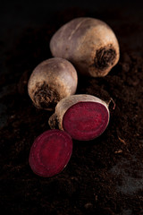 fresh harvested beetroot on dark slate kitchen plate, can be used as background
