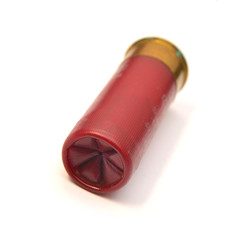 gun shell