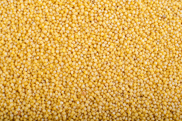 food background of millet groats