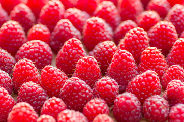 Background of ripe red raspberries, close up