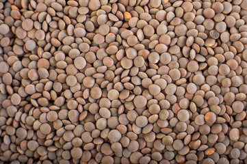Natural organic lentils for healthy food
